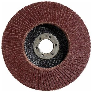 Flap Disk